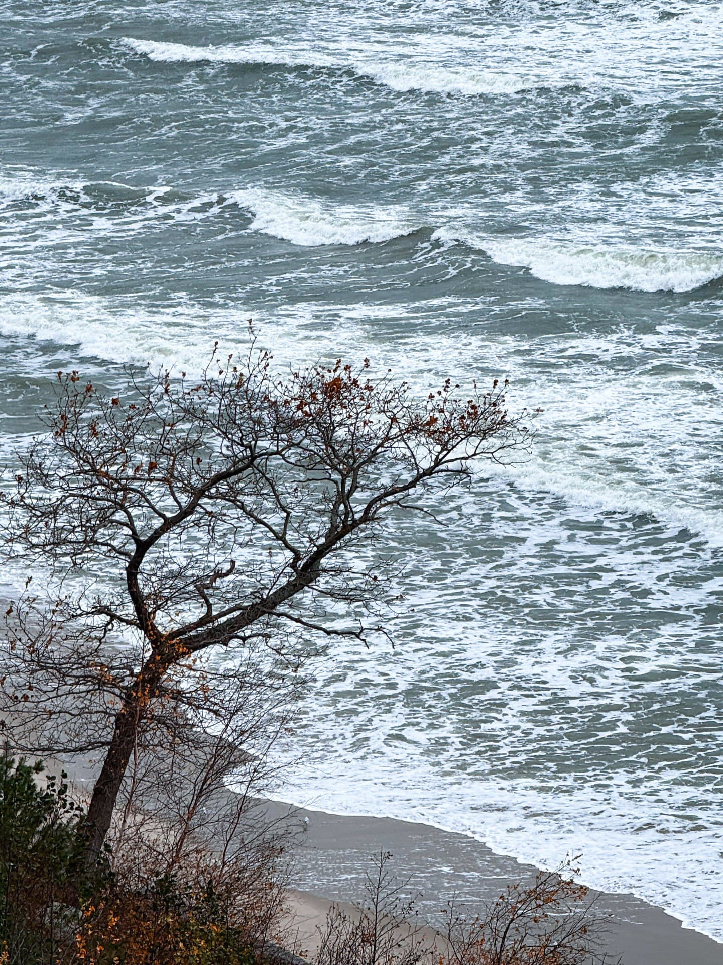 Город Светлогорск (Калининградская Область). Автор: woodston.trip, фото 8