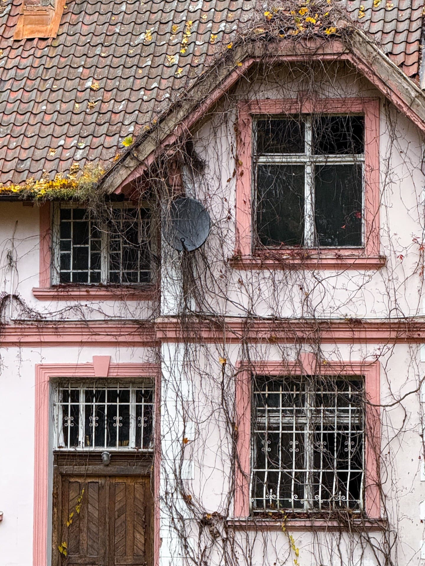 Город Светлогорск (Калининградская Область). Автор: woodston.trip, фото 5