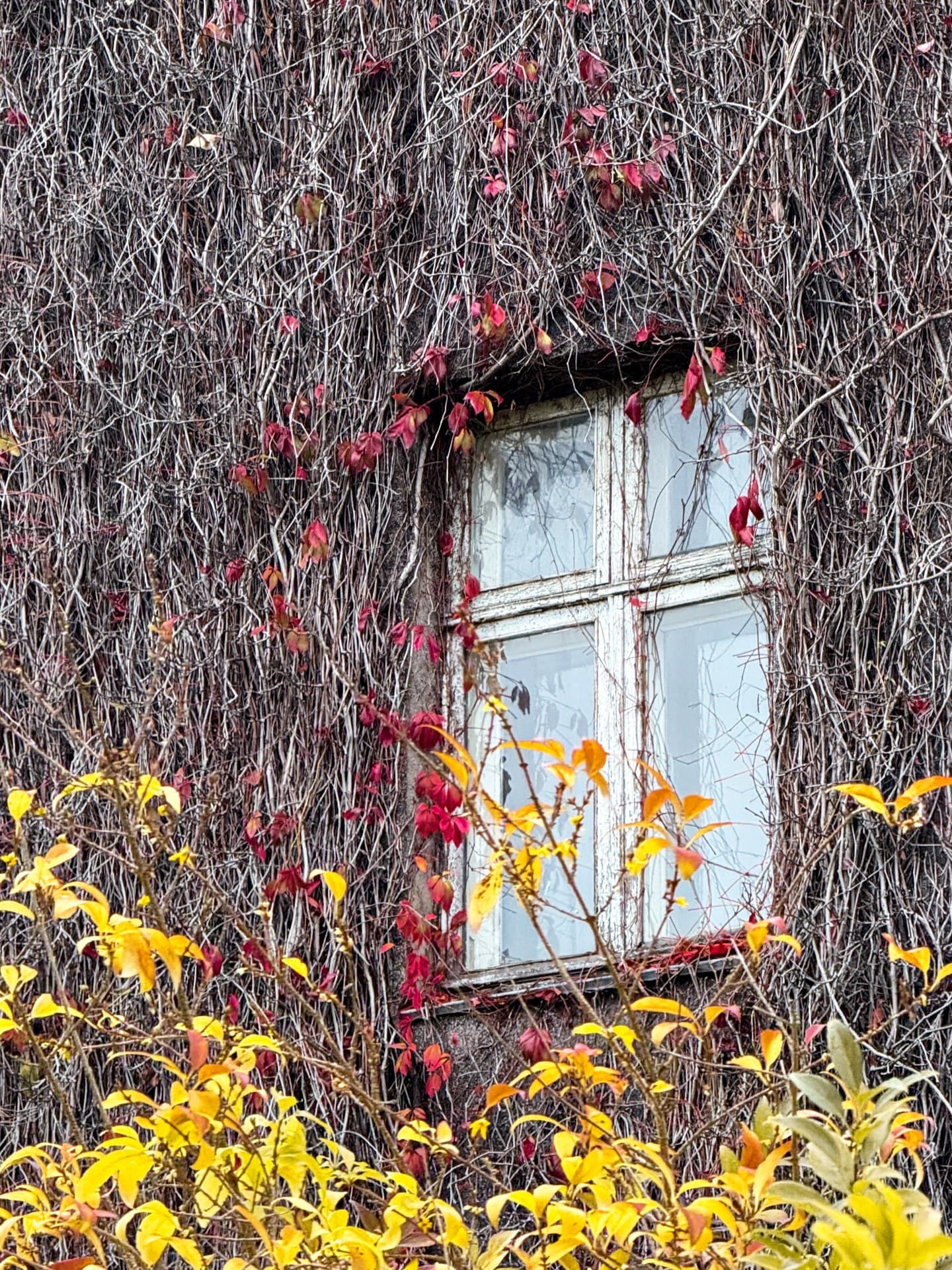 Город Светлогорск (Калининградская Область). Автор: woodston.trip, фото 2