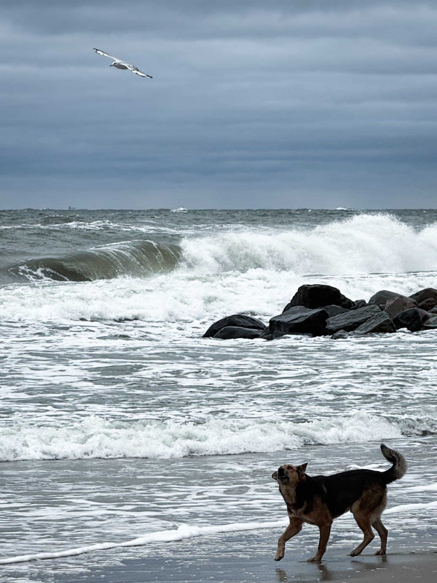 Город Светлогорск (Калининградская Область). Автор: woodston.trip, фото 1