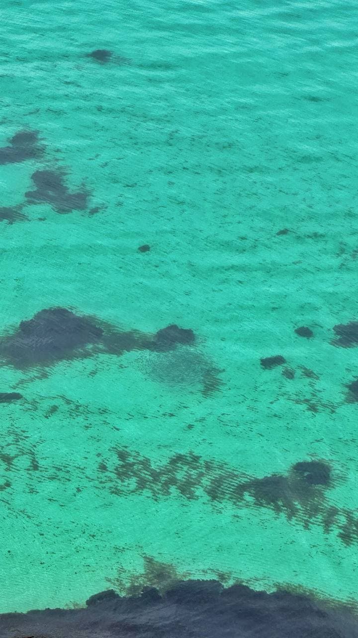 Дикий пляж Баунти (Республика Крым). Автор: moskvichicrimea, фото 2