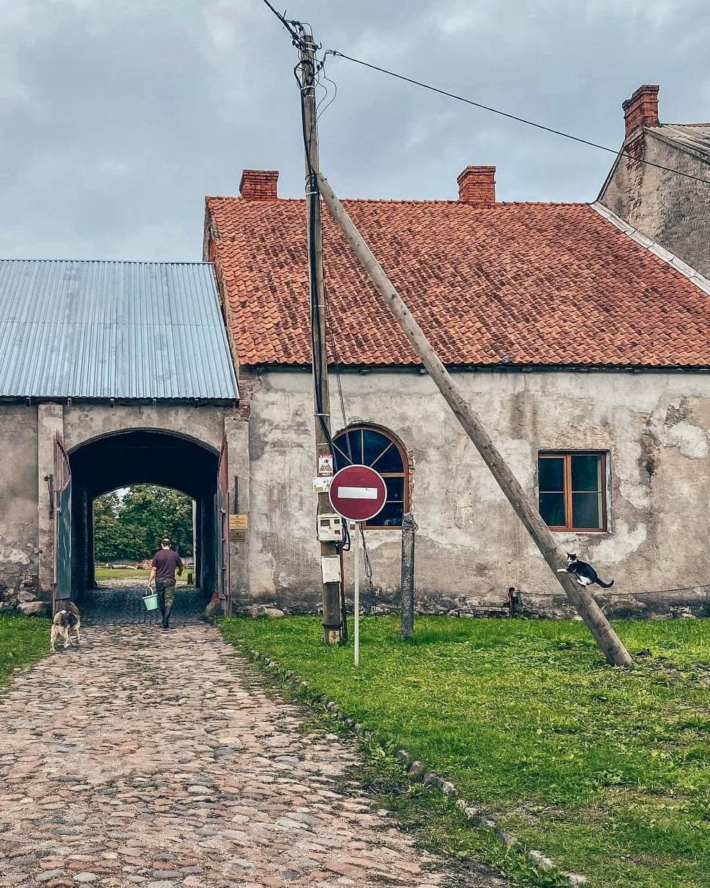 Замок Георгенбург (Калининградская Область). Автор: nekolesnik, фото 6