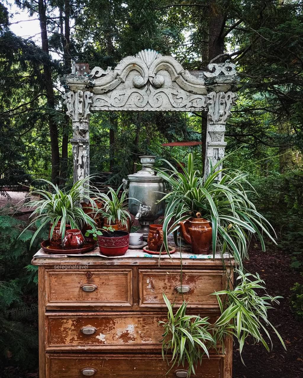 Ботанический сад Тверского государственного университета (Тверская Область). Автор: sereginatravel, фото 9