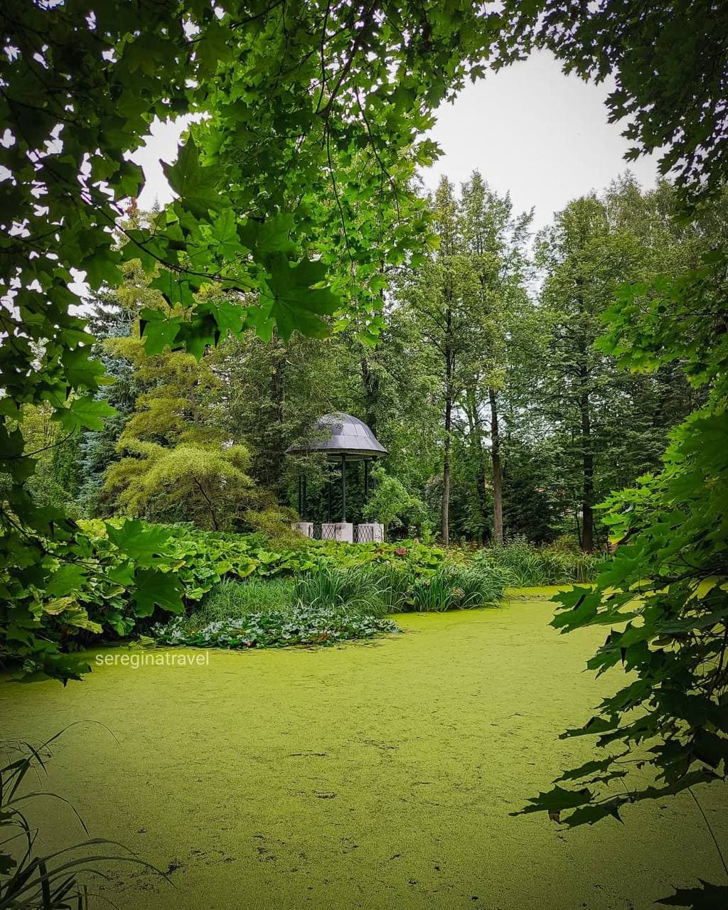Ботанический сад Тверского государственного университета (Тверская Область). Автор: sereginatravel, фото 8