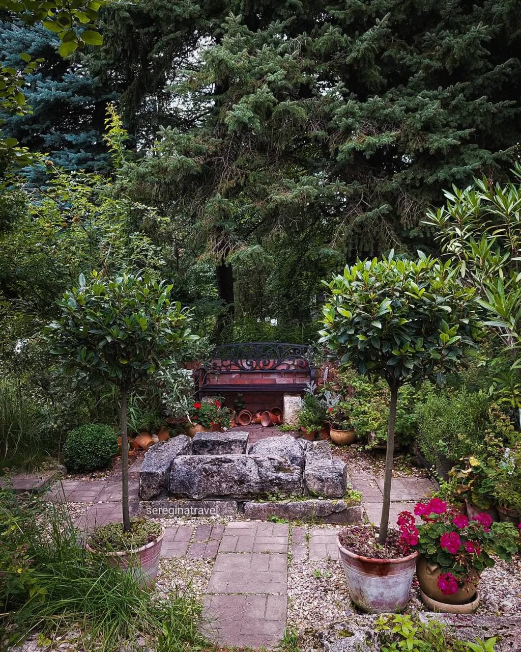 Ботанический сад Тверского государственного университета (Тверская Область). Автор: sereginatravel, фото 6