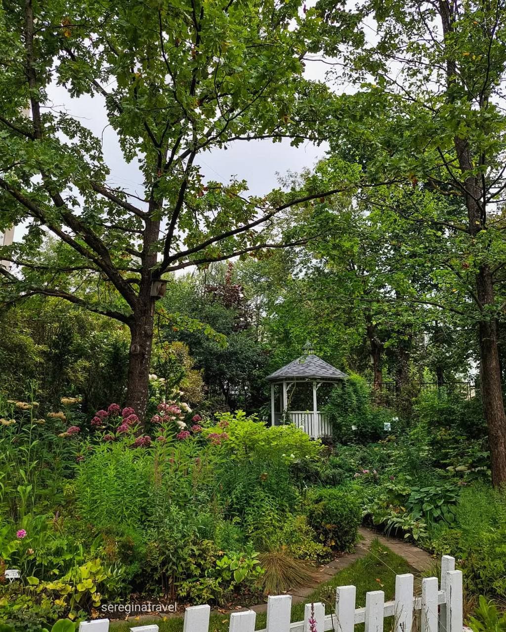 Ботанический сад Тверского государственного университета (Тверская Область). Автор: sereginatravel, фото 4