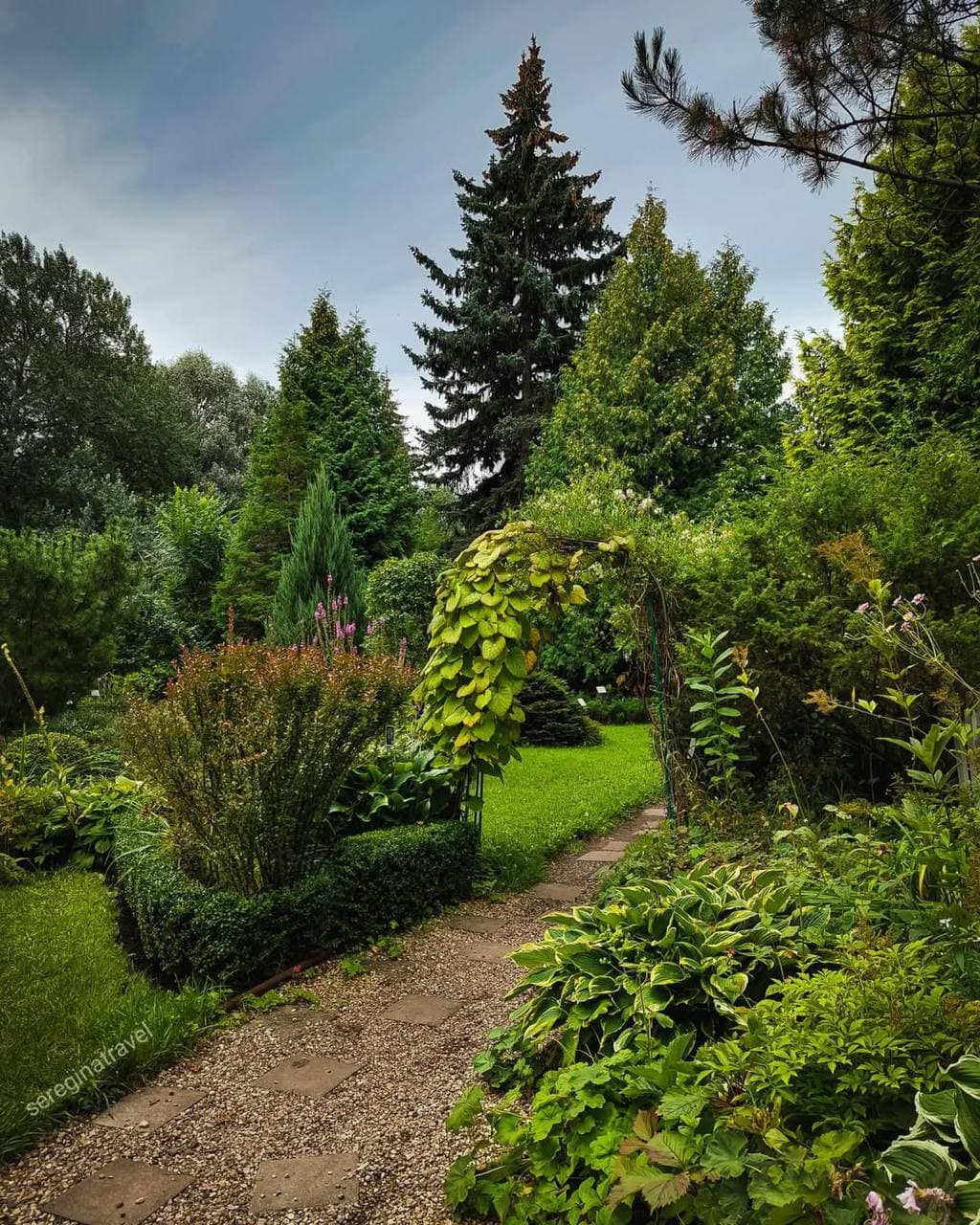 Ботанический сад Тверского государственного университета (Тверская Область). Автор: sereginatravel, фото 1