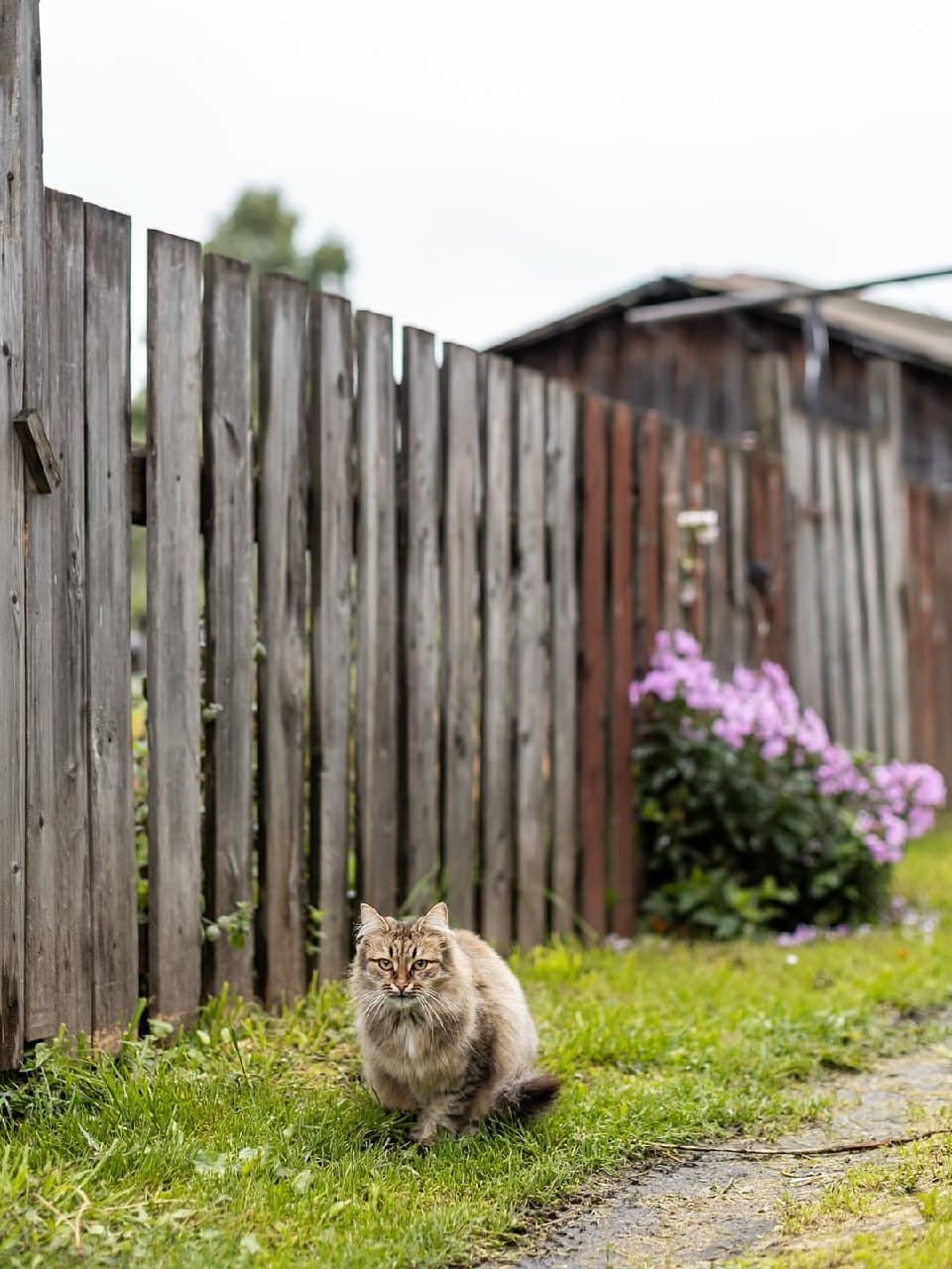 Город Юрьевец (Ивановская Область). Автор: naletu, фото 9