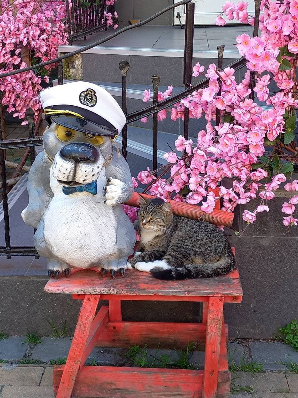 Город Зеленоградск (Калининградская Область). Автор: Светлана Ильина, фото 8