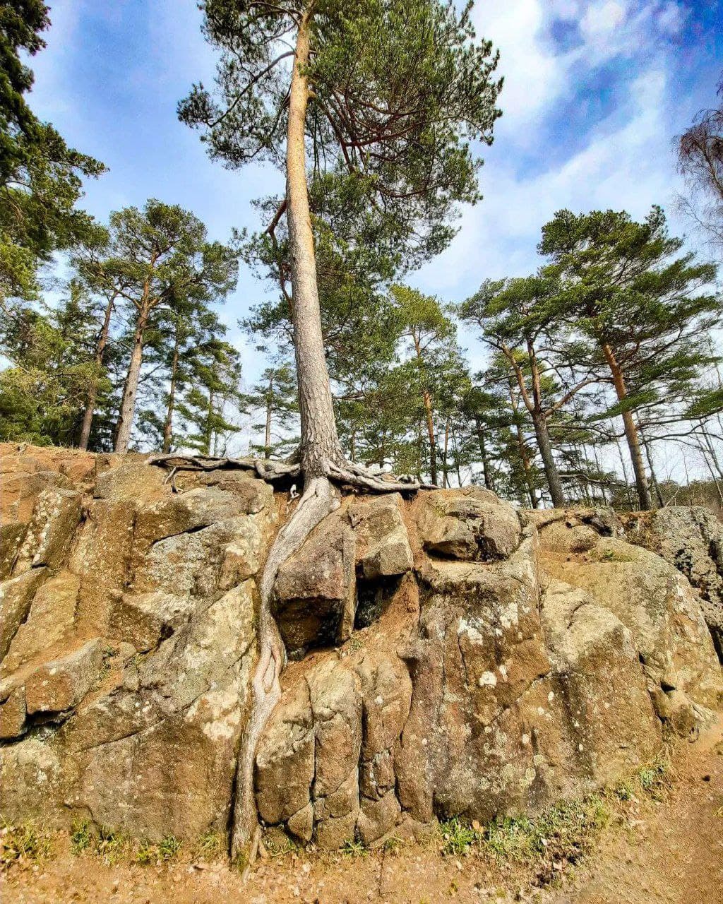 Остров Валаам (Республика Карелия). Автор: ciladyxa, фото 3