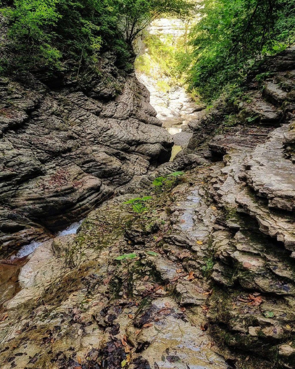 Бешенка - горная река в окрестностях Красной Поляны (Краснодарский Край). Автор: evgeny_travel, фото 8