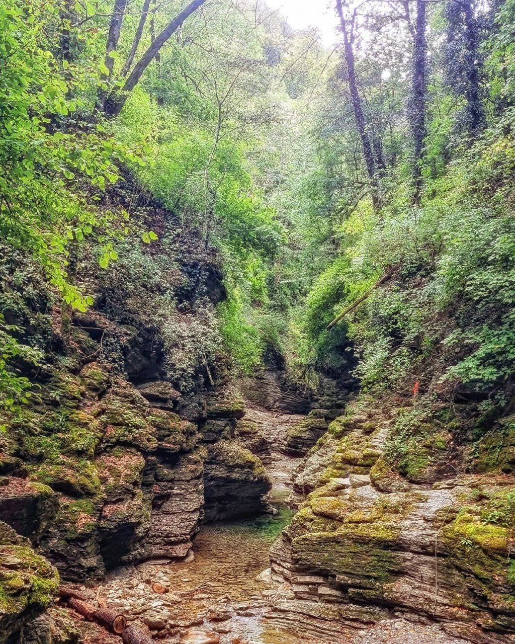 Бешенка - горная река в окрестностях Красной Поляны (Краснодарский Край). Автор: evgeny_travel, фото 2