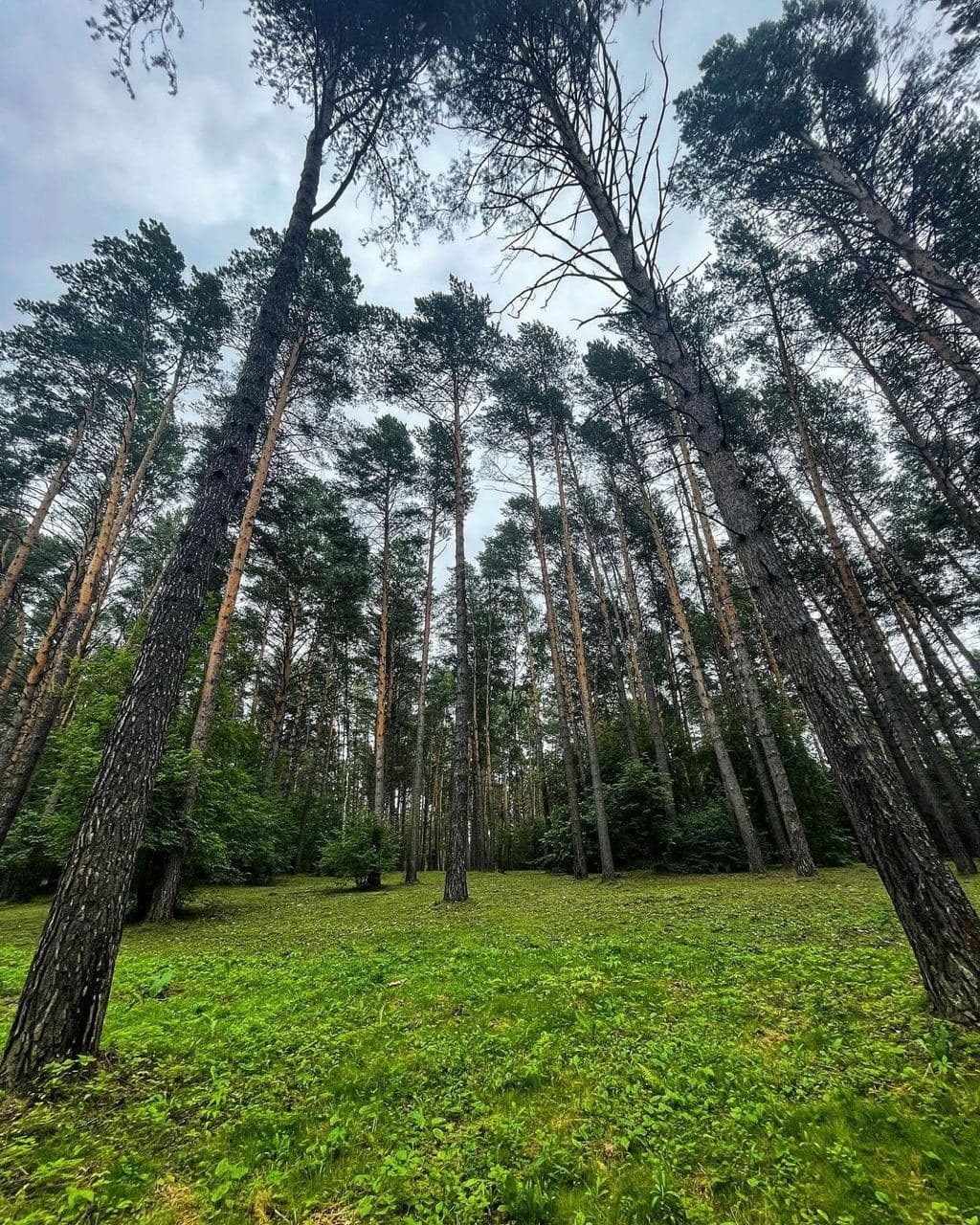 Музей-заповедник Томская писаница (Кемеровская Область). Автор: nataliyavbelyakova, фото 4