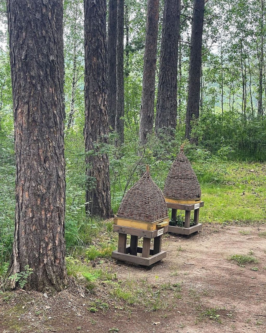 Музей-заповедник Томская писаница (Кемеровская Область). Автор: nataliyavbelyakova, фото 3