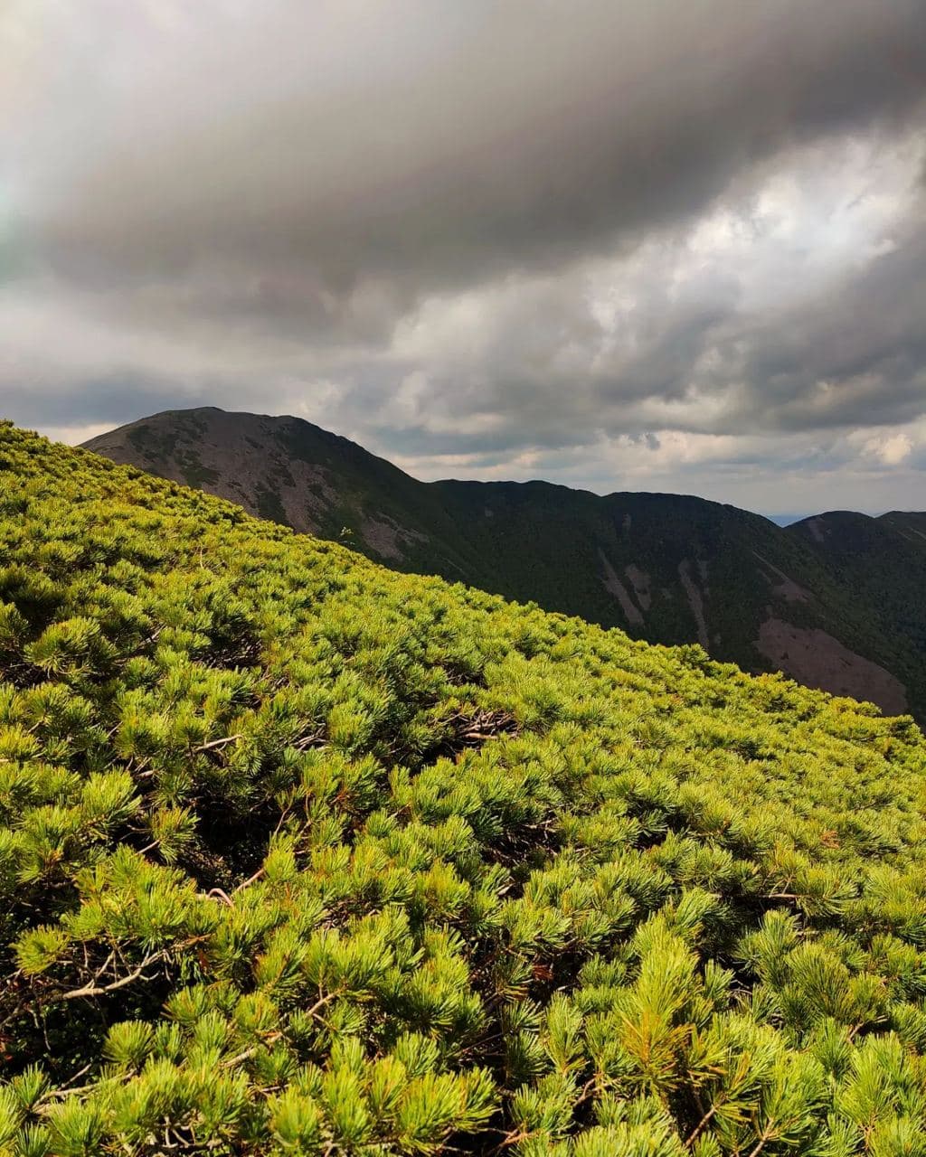 Гора Облачная (Приморский Край). Автор: prim_travel_with_us, фото 3