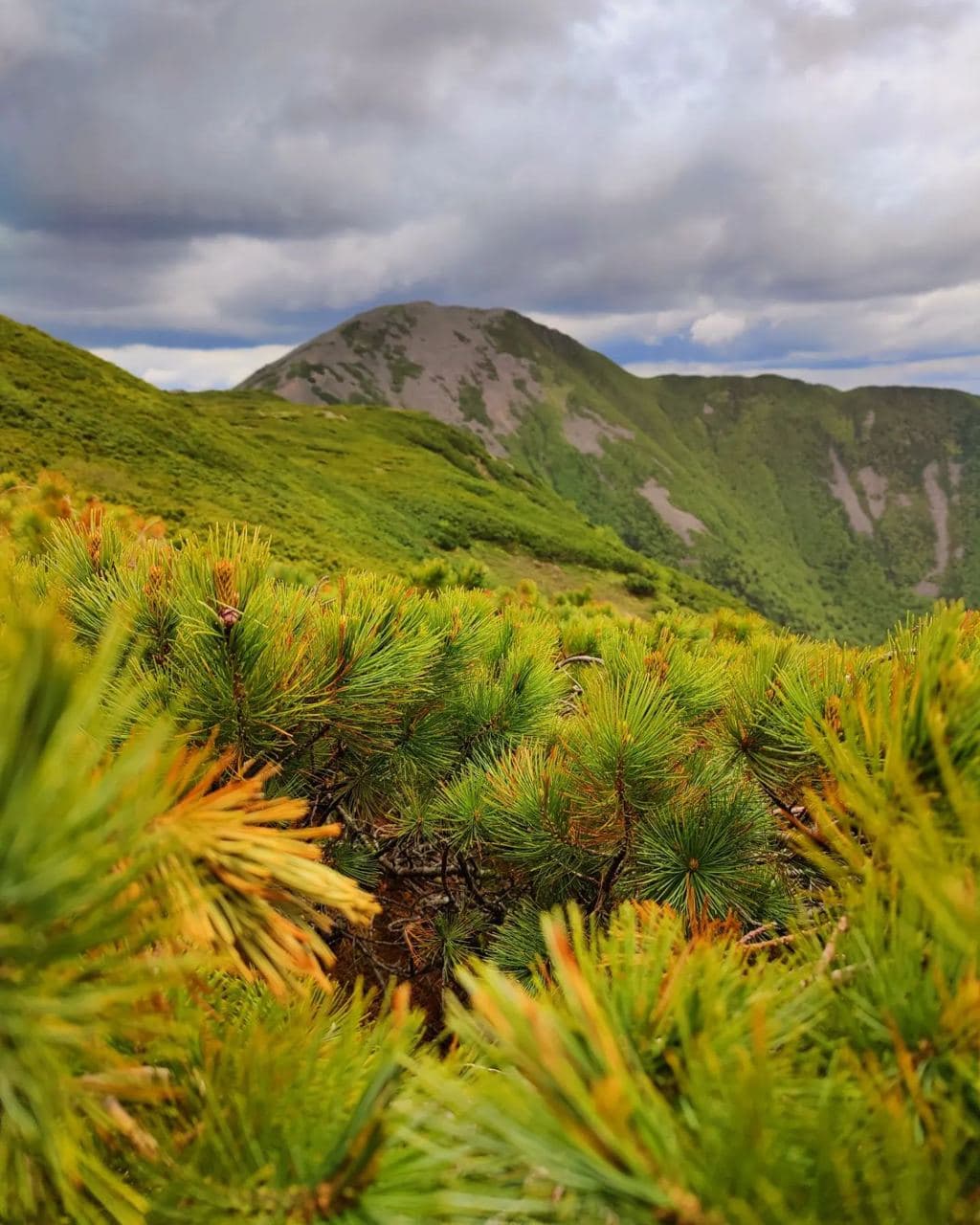 Гора Облачная (Приморский Край). Автор: prim_travel_with_us, фото 1