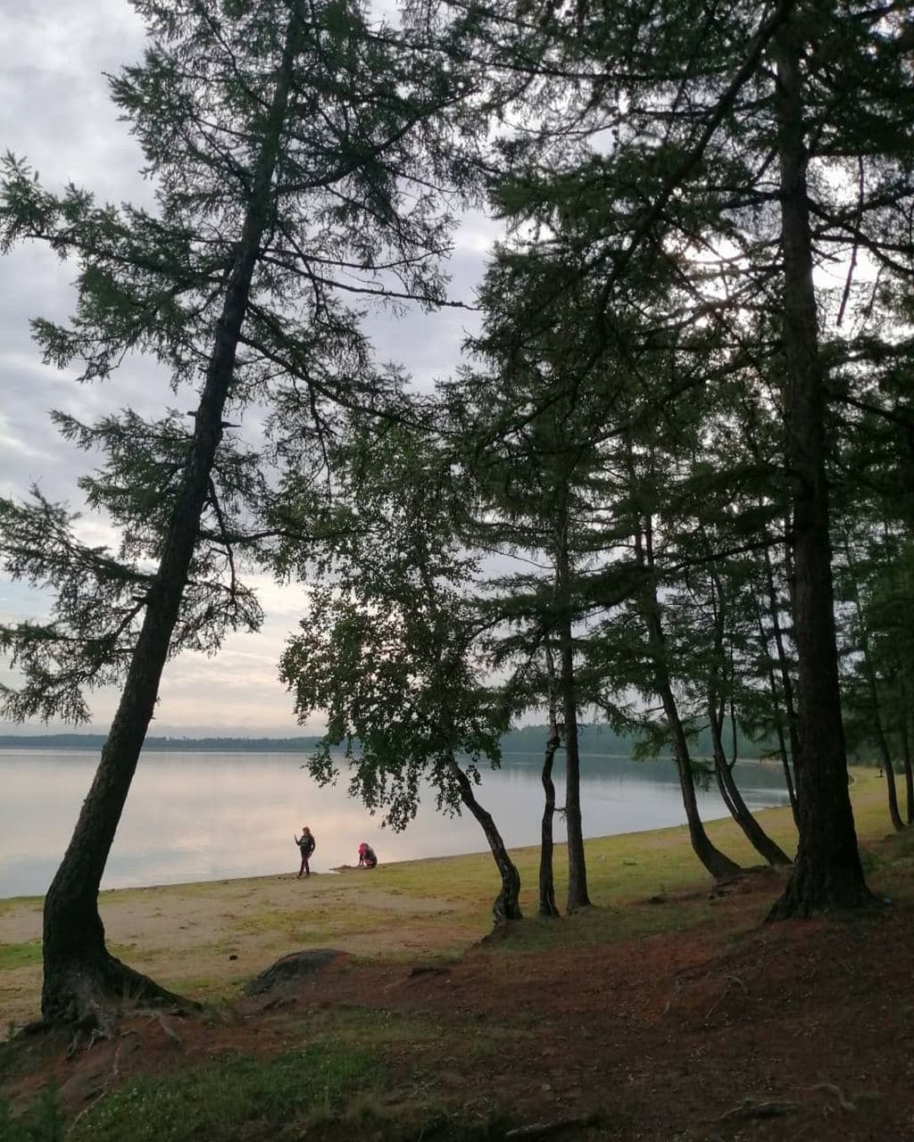 Арейское озеро (Забайкальский Край). Автор: gulnarasafro, фото 4