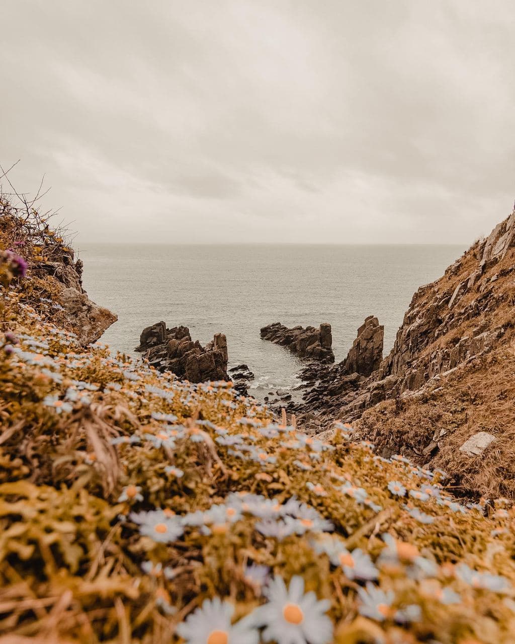 Остров Антипенко (Приморский Край). Автор: a.marekha, фото 1
