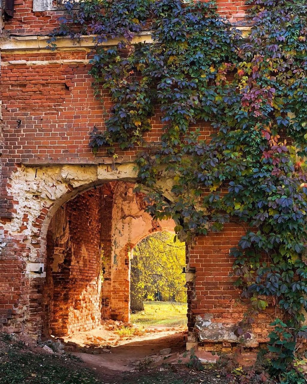 Усадьба Пашковых (Нижегородская Область). Автор: only_elena, фото 6