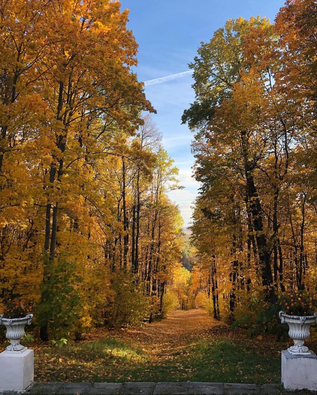 Усадьба Пашковых (Нижегородская Область). Автор: only_elena, фото 2