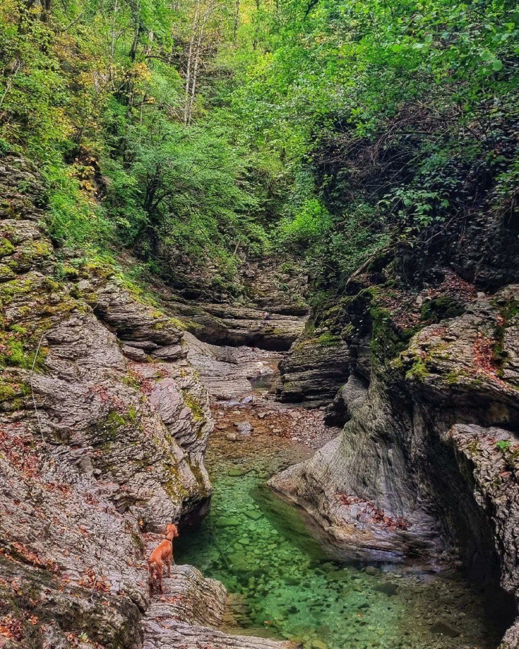 Бешенка — горная река в окрестностях Красной Поляны (Краснодарский Край). Автор: evgeny_travel, фото 6