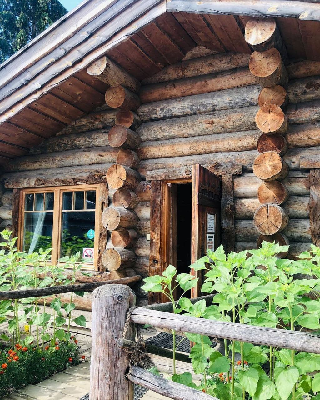 Интерактивный музей Усадьба средневекового рушанина (Новгородская Область). Автор: s_el.v.ra, фото 7