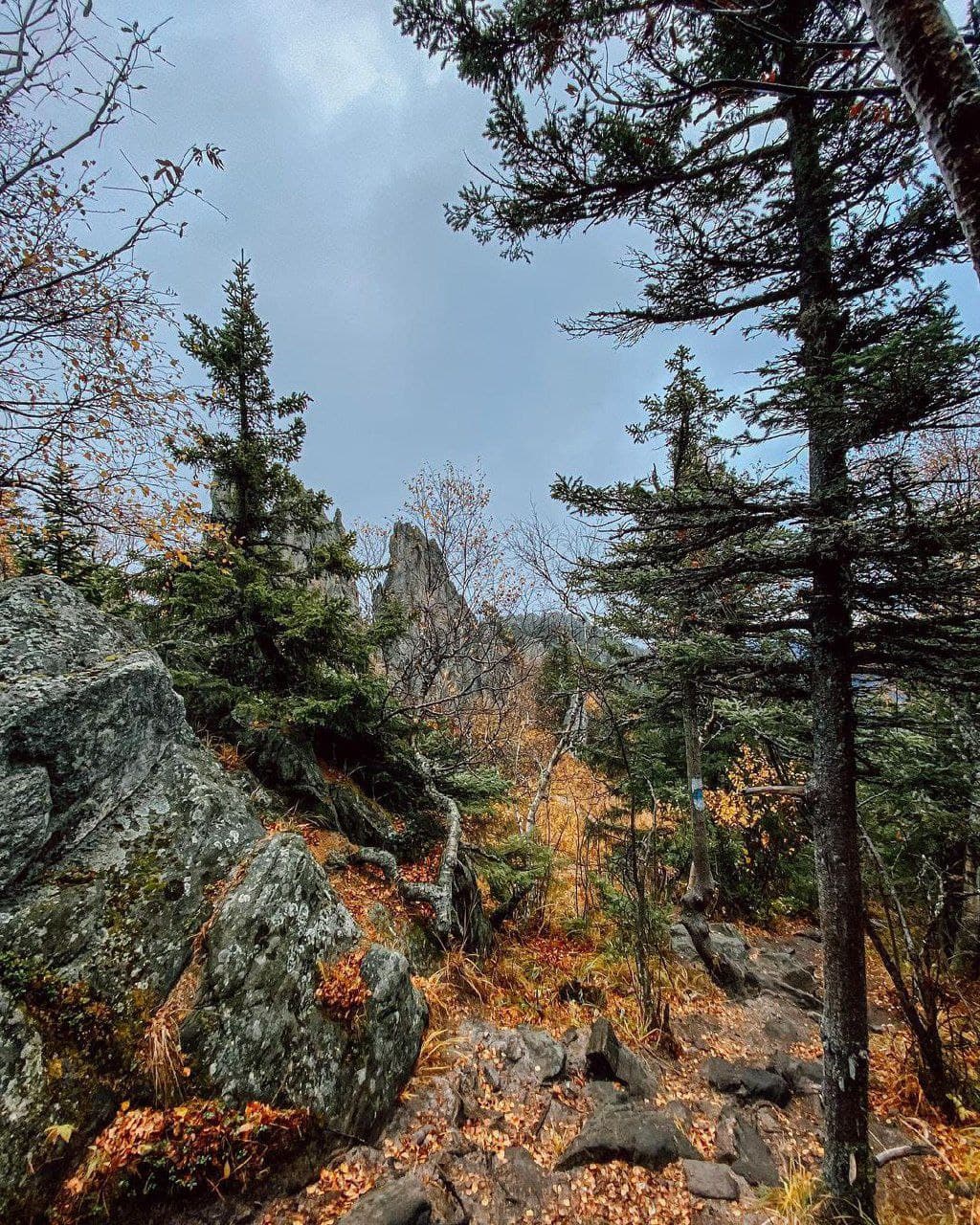 Двуглавая сопка (Челябинская Область). Автор: sovatraveler, фото 2