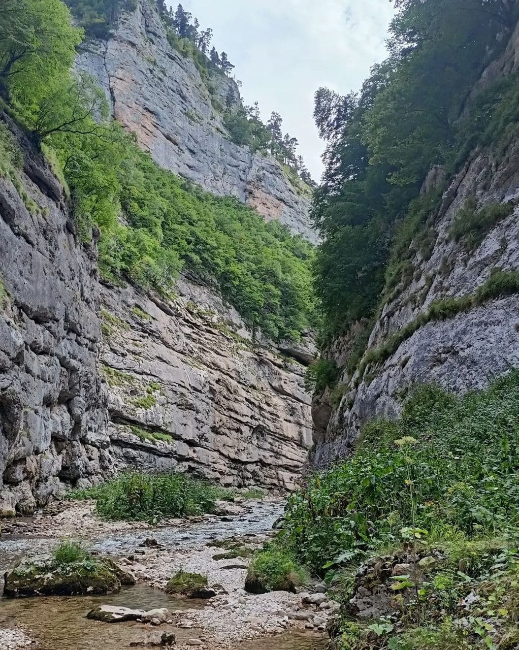 Каньон реки Цице (Республика Адыгея). Автор: filma_key, фото 5
