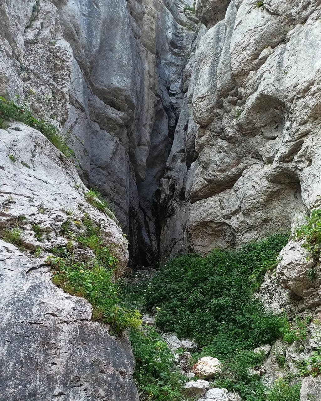 Каньон реки Цице (Республика Адыгея). Автор: filma_key, фото 3