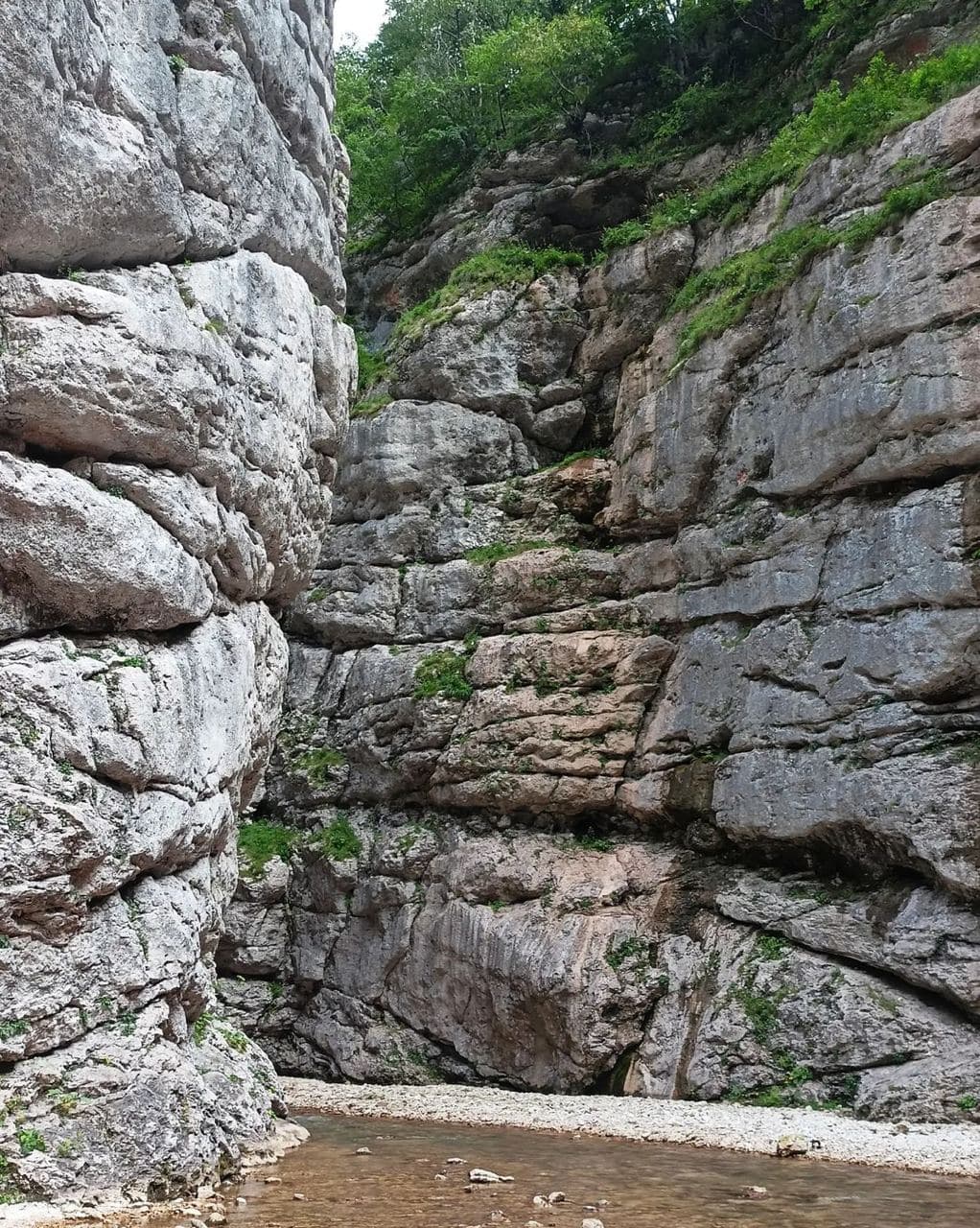 Каньон реки Цице (Республика Адыгея). Автор: filma_key, фото 2