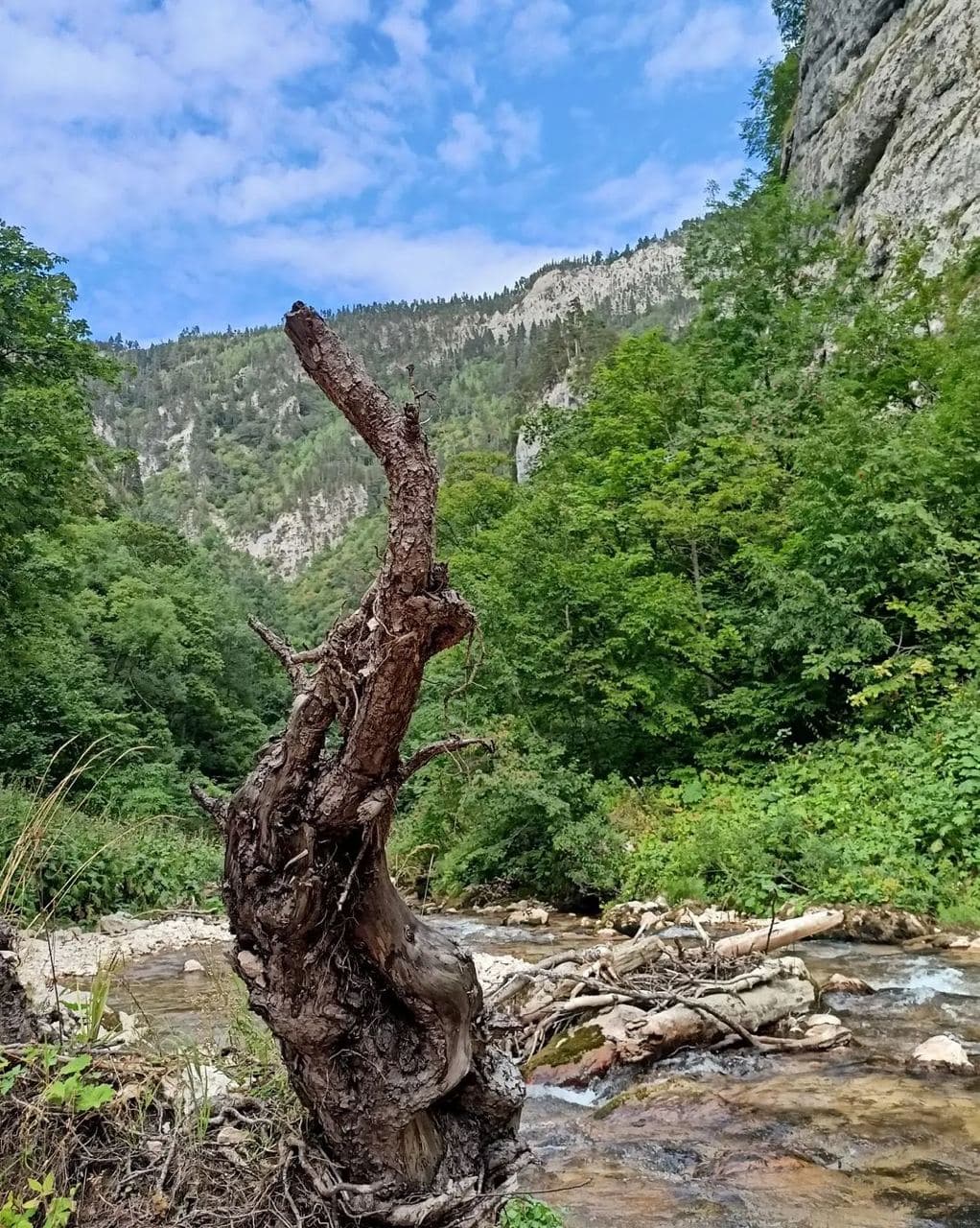 Каньон реки Цице (Республика Адыгея). Автор: filma_key, фото 1
