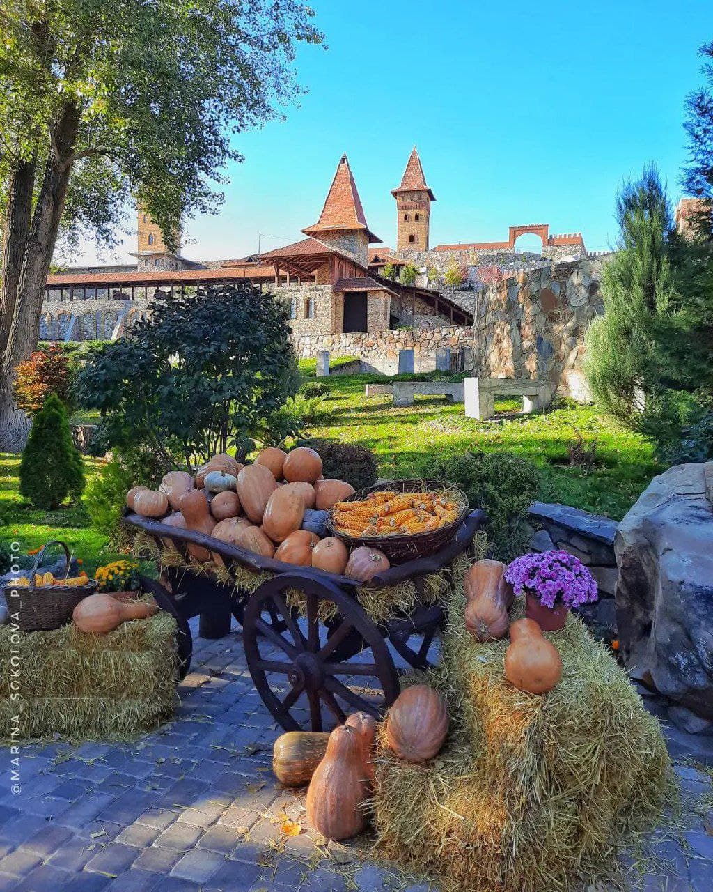 Парк Лога (Ростовская Область). Автор: marina_sokolova_photo, фото 9