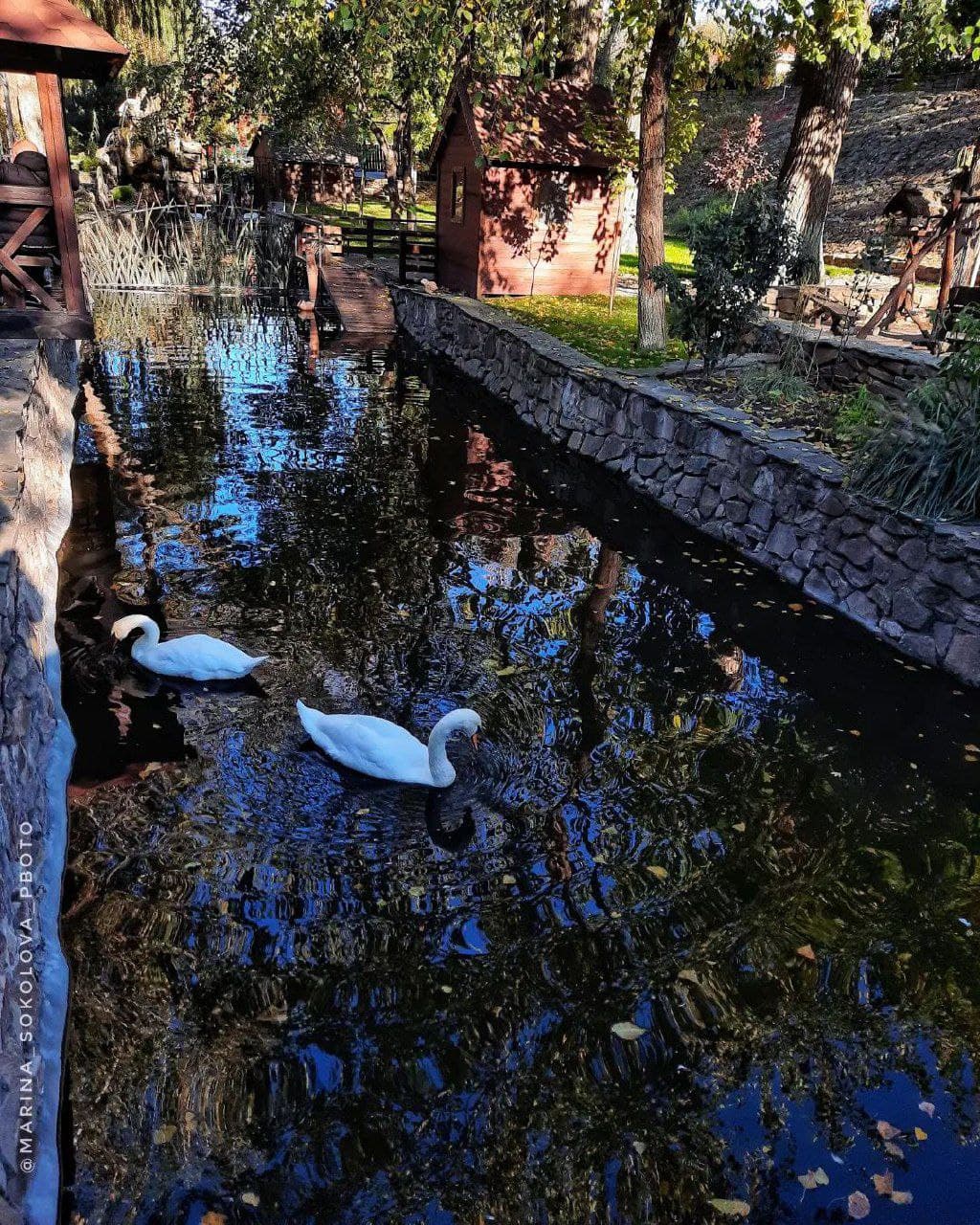 Парк Лога (Ростовская Область). Автор: marina_sokolova_photo, фото 6