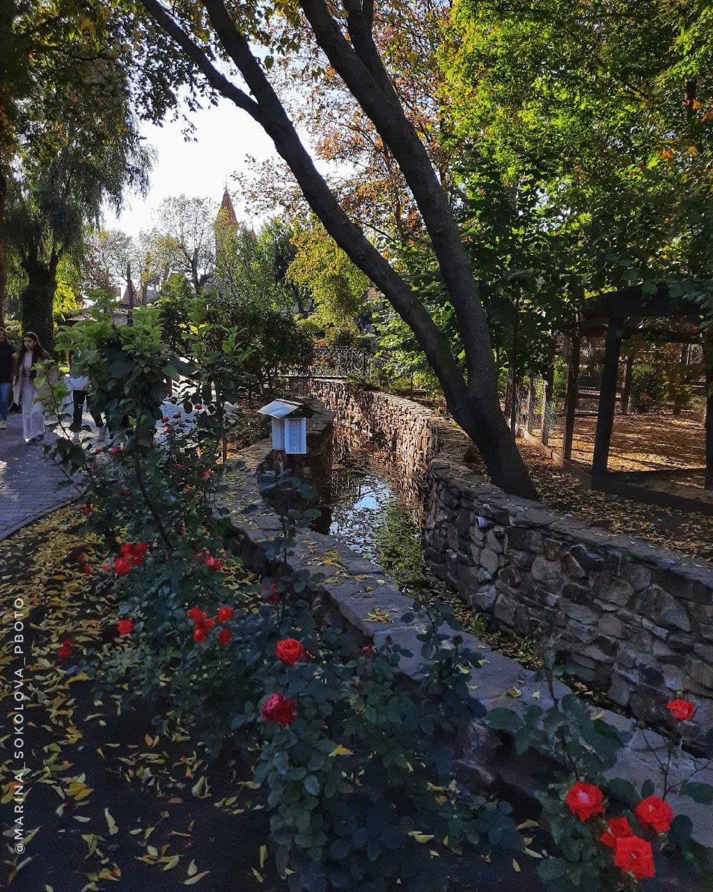 Парк Лога (Ростовская Область). Автор: marina_sokolova_photo, фото 1