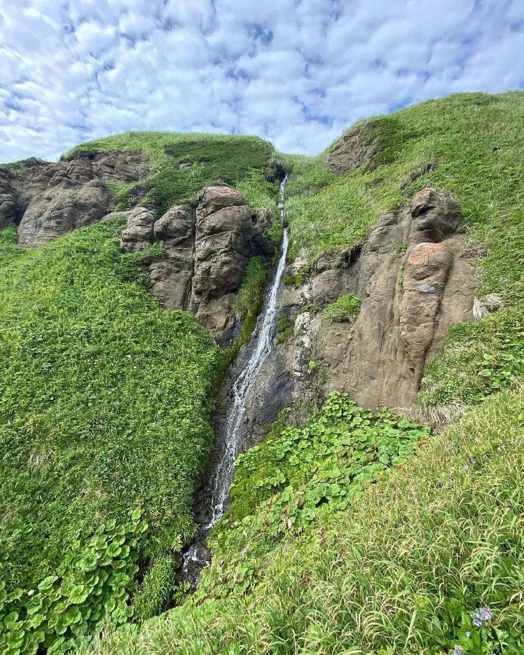 Мыс Стукамбис (Сахалинская Область). Автор: sakhalin_ na ladoni, фото 7