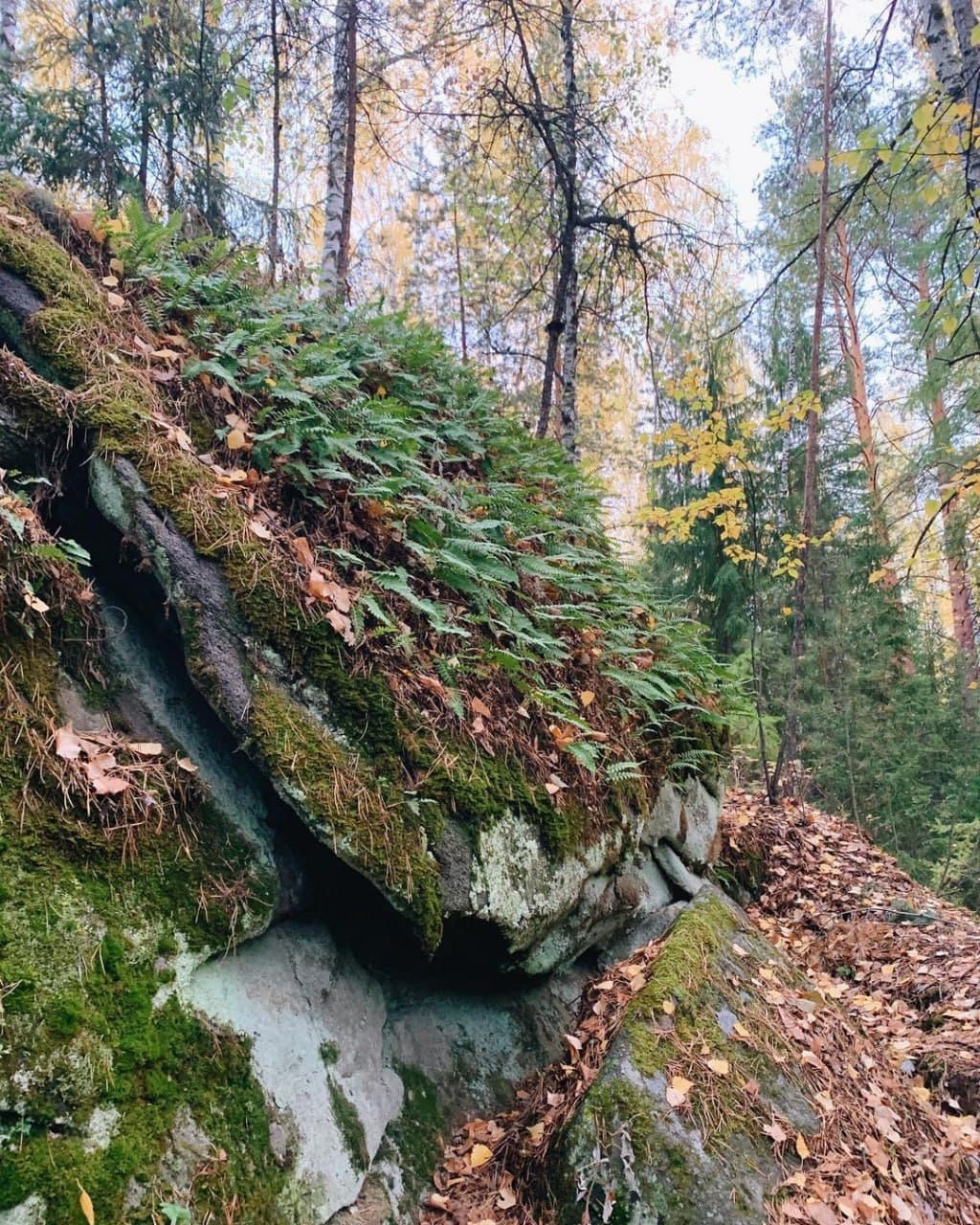 Еловый мыс (Свердловская Область). Автор: itsmyural, фото 8