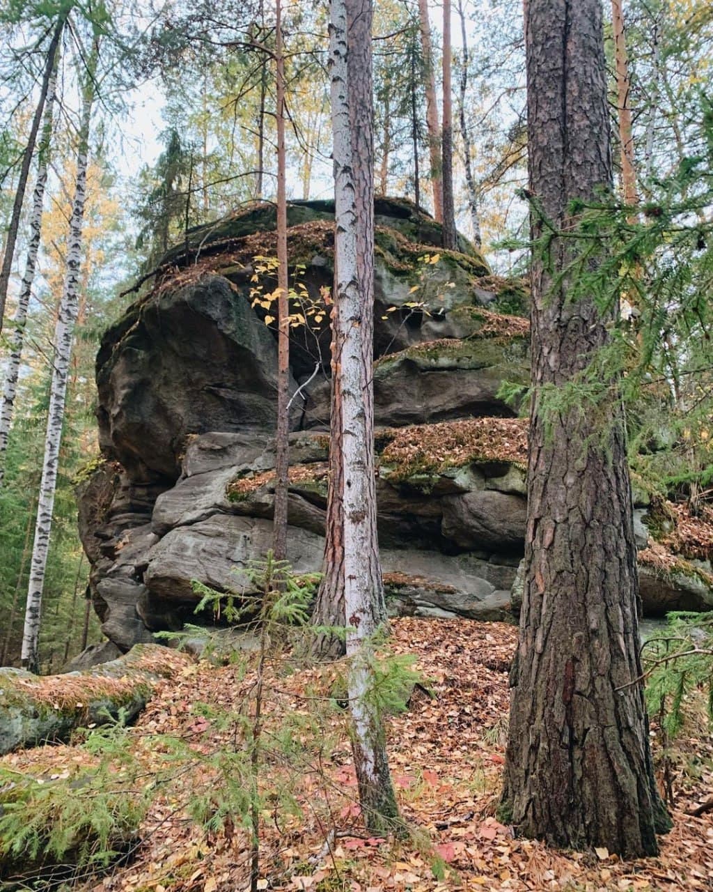 Еловый мыс (Свердловская Область). Автор: itsmyural, фото 7