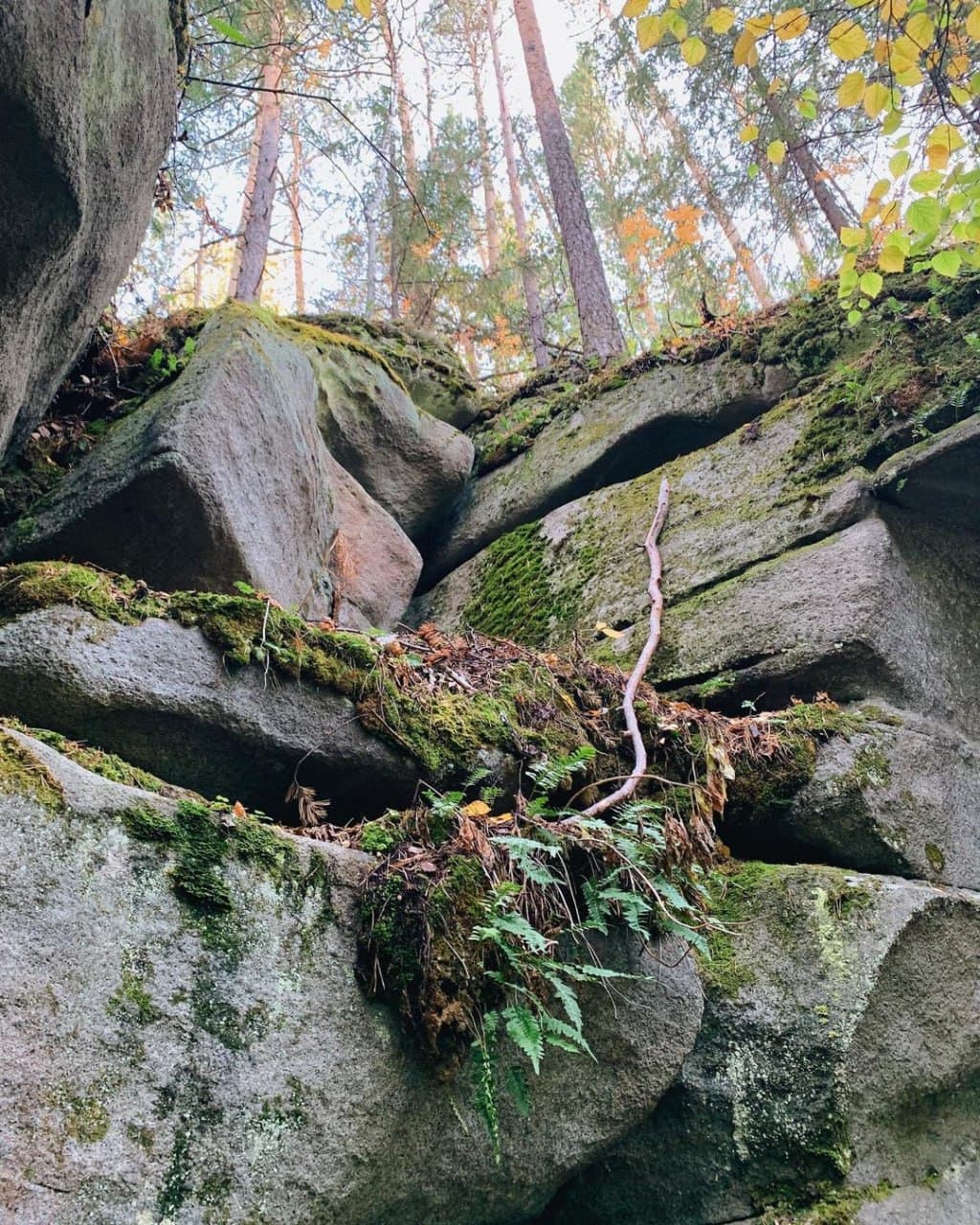 Еловый мыс (Свердловская Область). Автор: itsmyural, фото 5