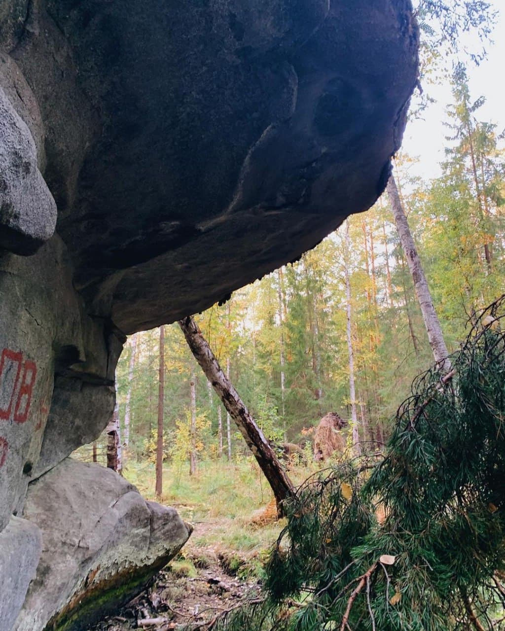 Еловый мыс (Свердловская Область). Автор: itsmyural, фото 4