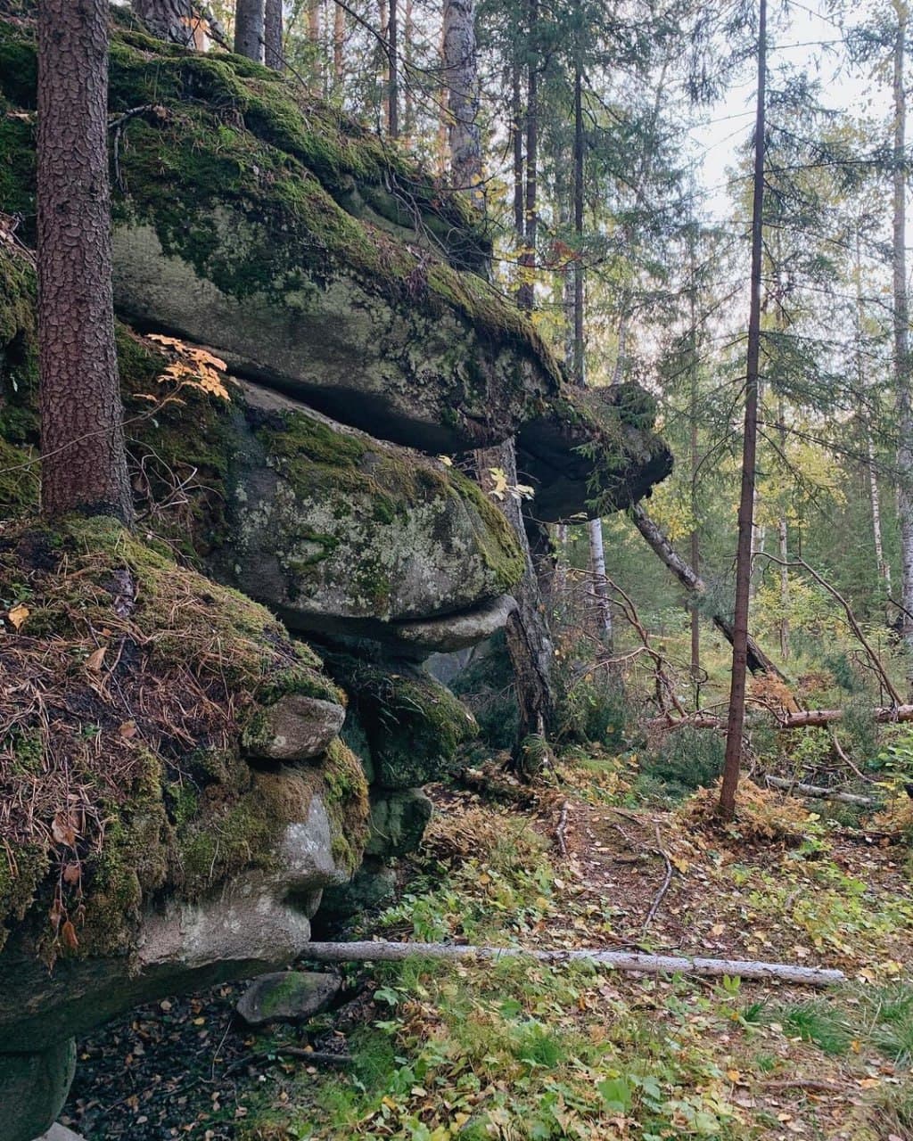 Еловый мыс (Свердловская Область). Автор: itsmyural, фото 3