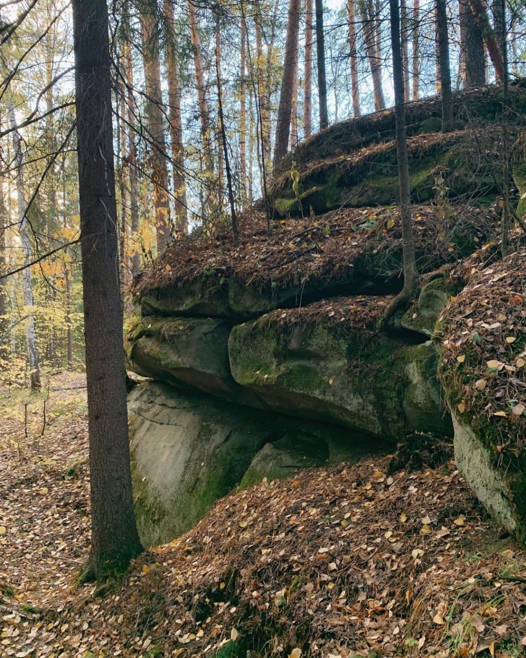 Еловый мыс (Свердловская Область). Автор: itsmyural, фото 2