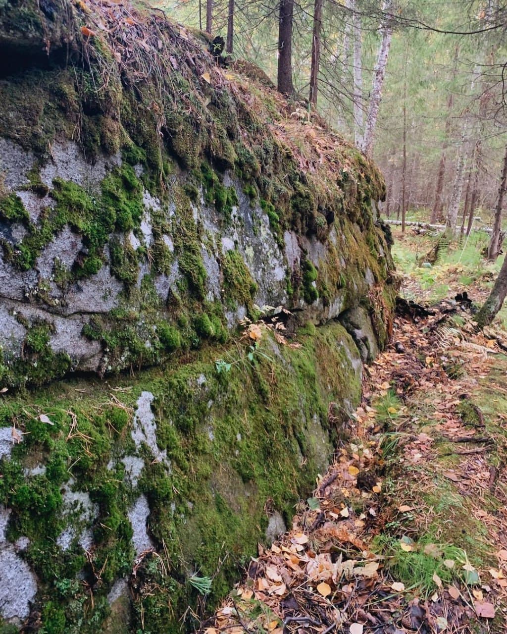 Еловый мыс (Свердловская Область). Автор: itsmyural, фото 1