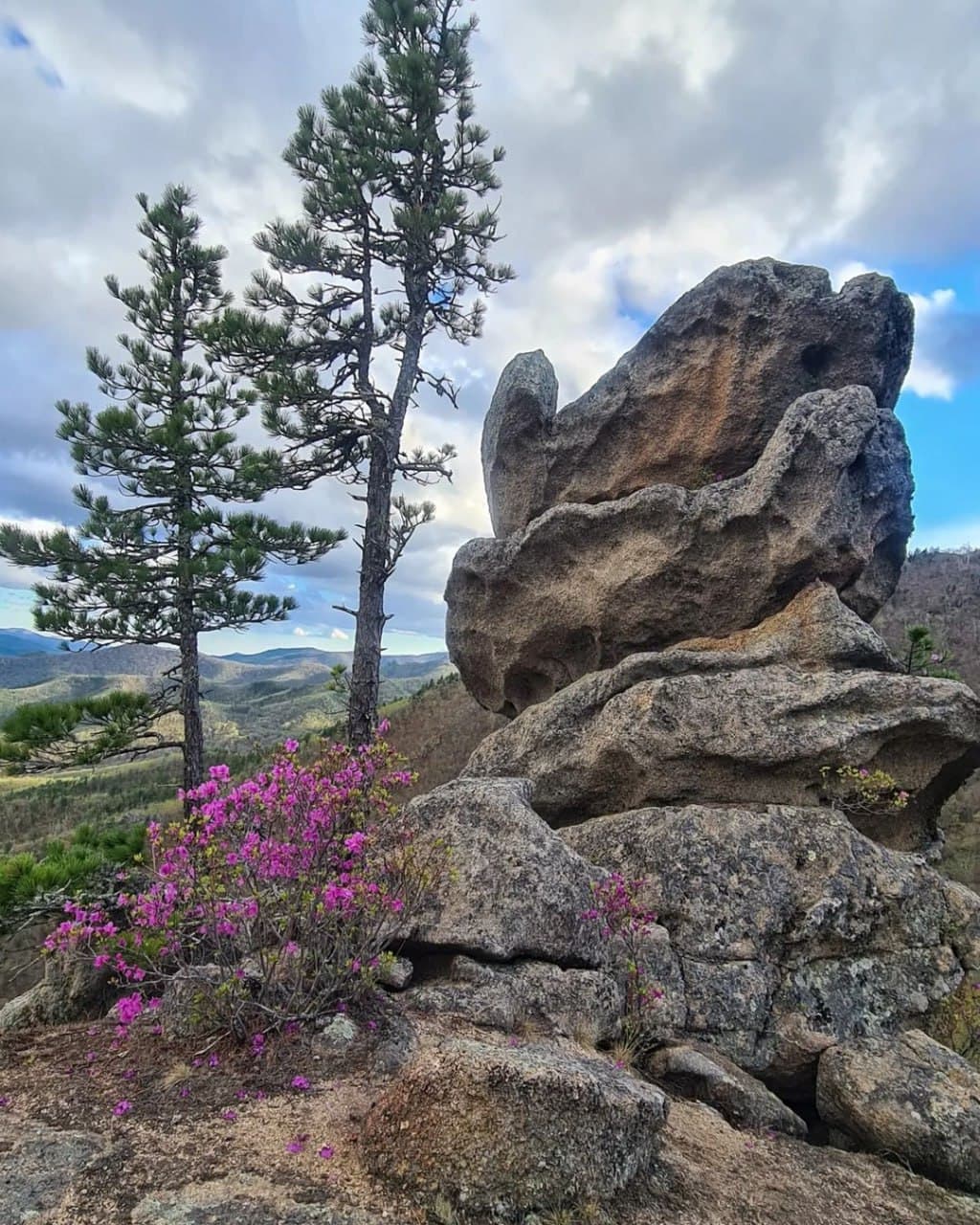 Парк Драконов (Приморский Край). Автор: olgakruze, фото 7