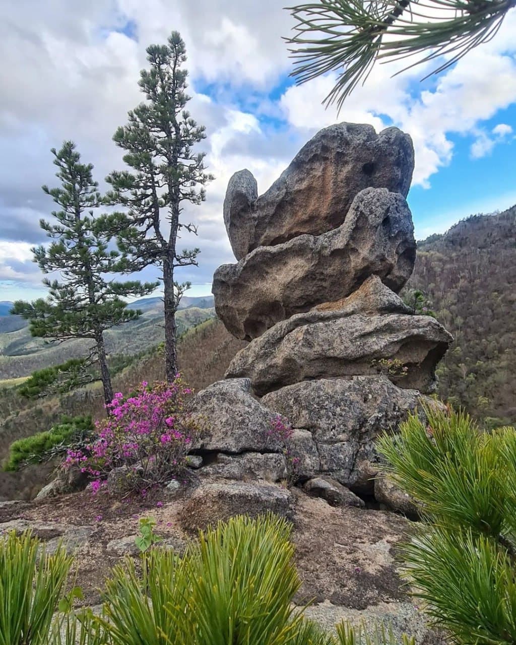 Парк Драконов (Приморский Край). Автор: olgakruze, фото 5