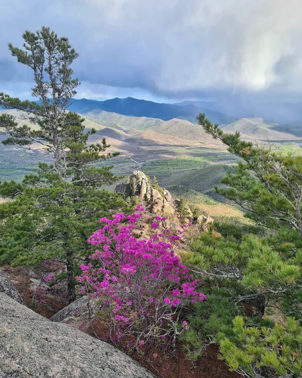 Парк Драконов (Приморский Край). Автор: olgakruze, фото 4