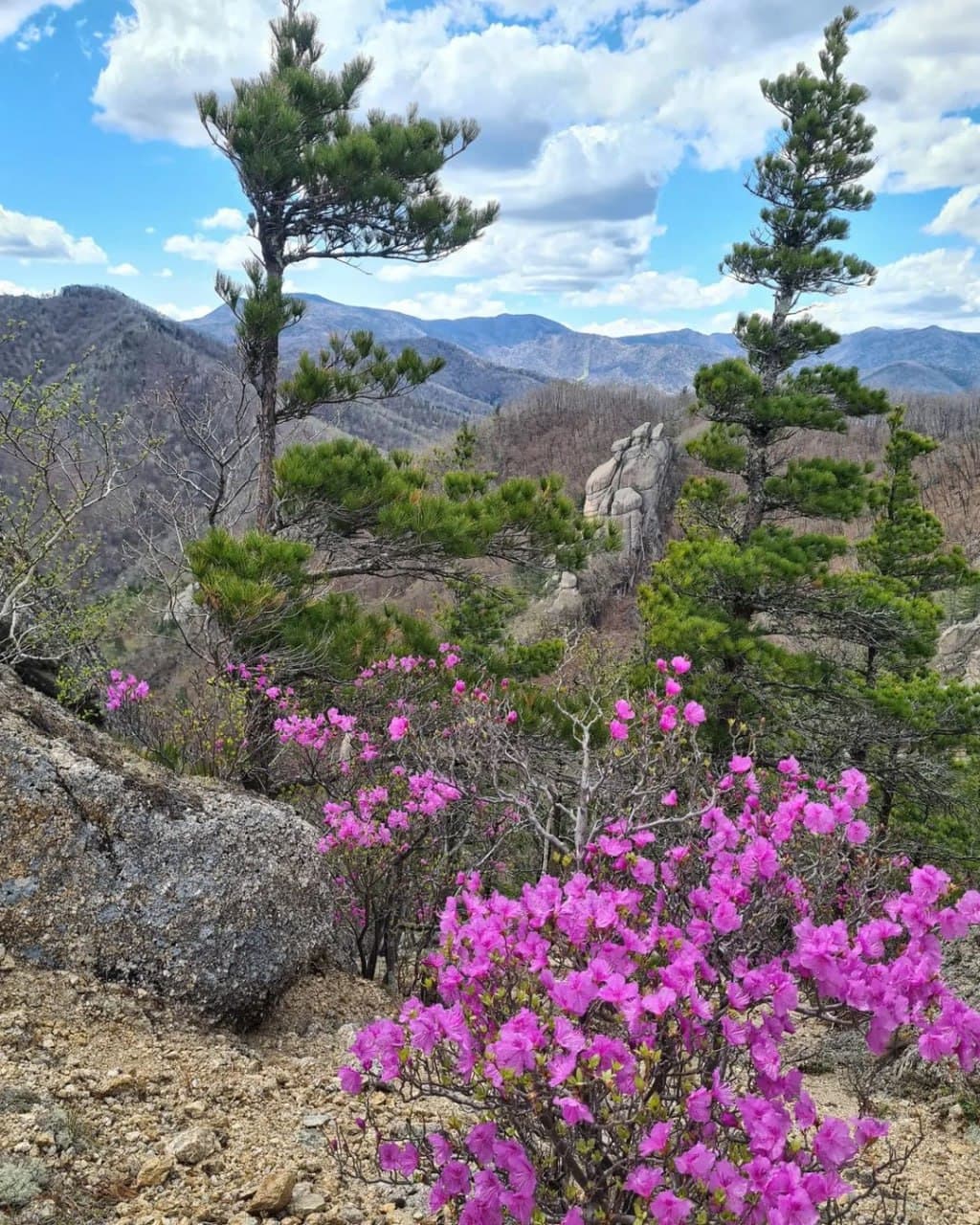 Парк Драконов (Приморский Край). Автор: olgakruze, фото 3