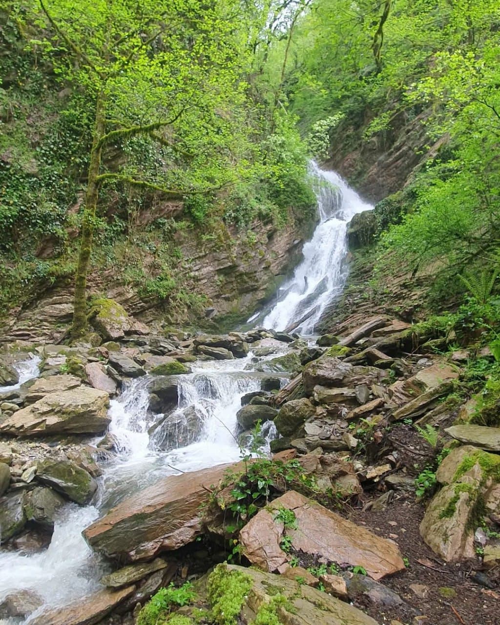 Ажекский экопарк (Краснодарский Край). Автор: artemsochinskiy, фото 2