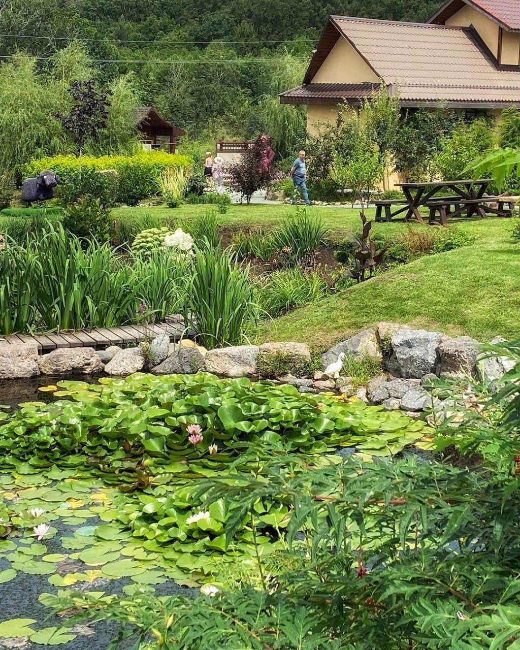 Японский сад Эниси (Приморский Край). Автор: igoshina_tanya_, фото 5