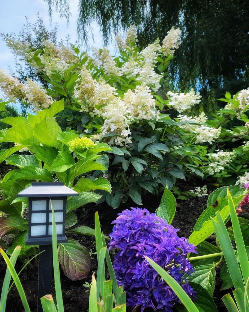 Японский сад Эниси (Приморский Край). Автор: igoshina_tanya_, фото 3