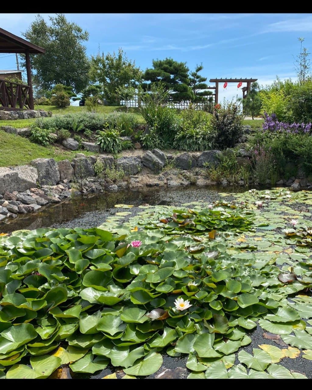 Японский сад Эниси (Приморский Край). Автор: igoshina_tanya_, фото 1